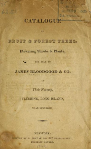 image of an old catalogue from Bloodgood Nurseries